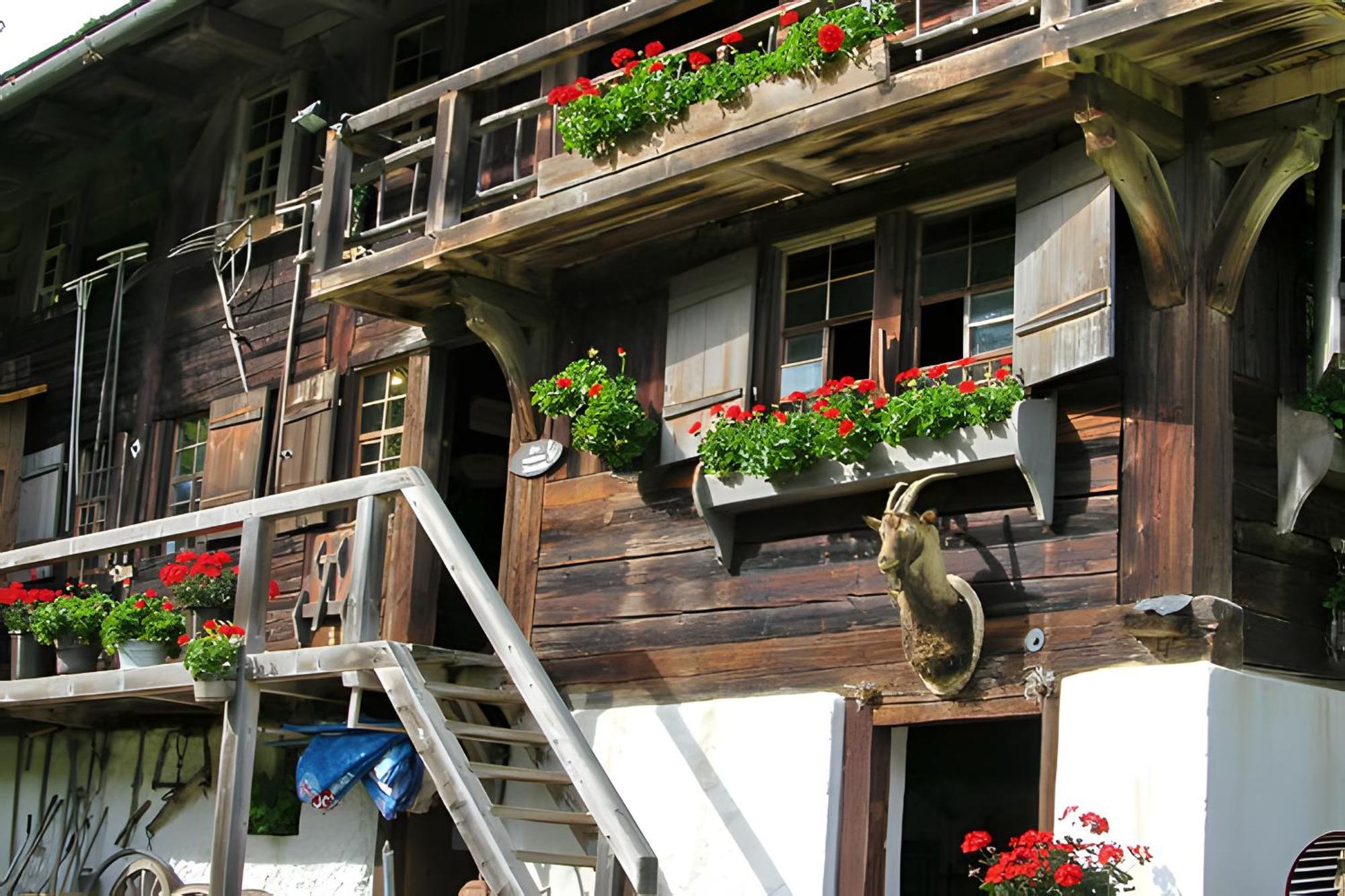 Ferienhaus Voelkle Hinterzarten Ngoại thất bức ảnh