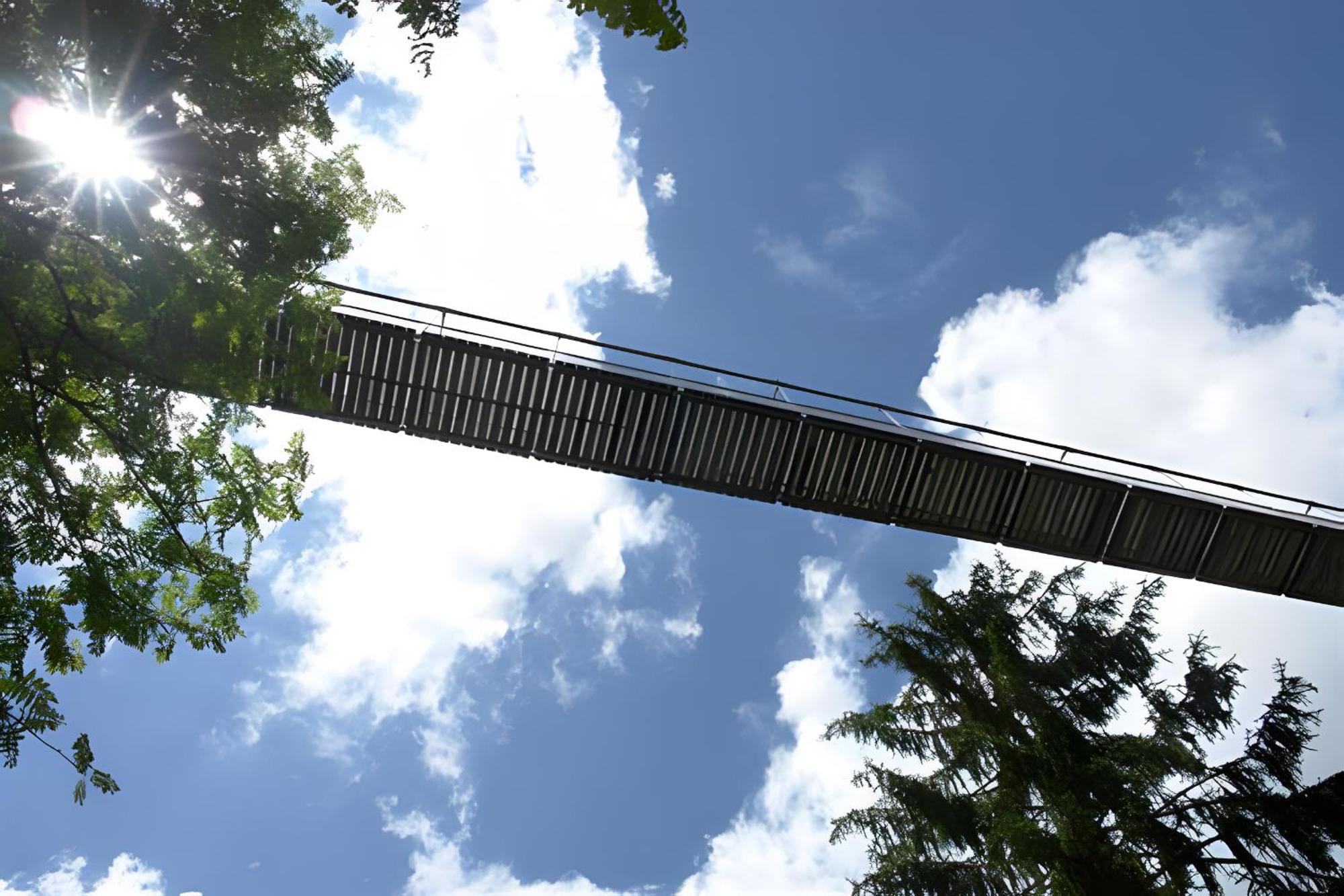 Ferienhaus Voelkle Hinterzarten Ngoại thất bức ảnh